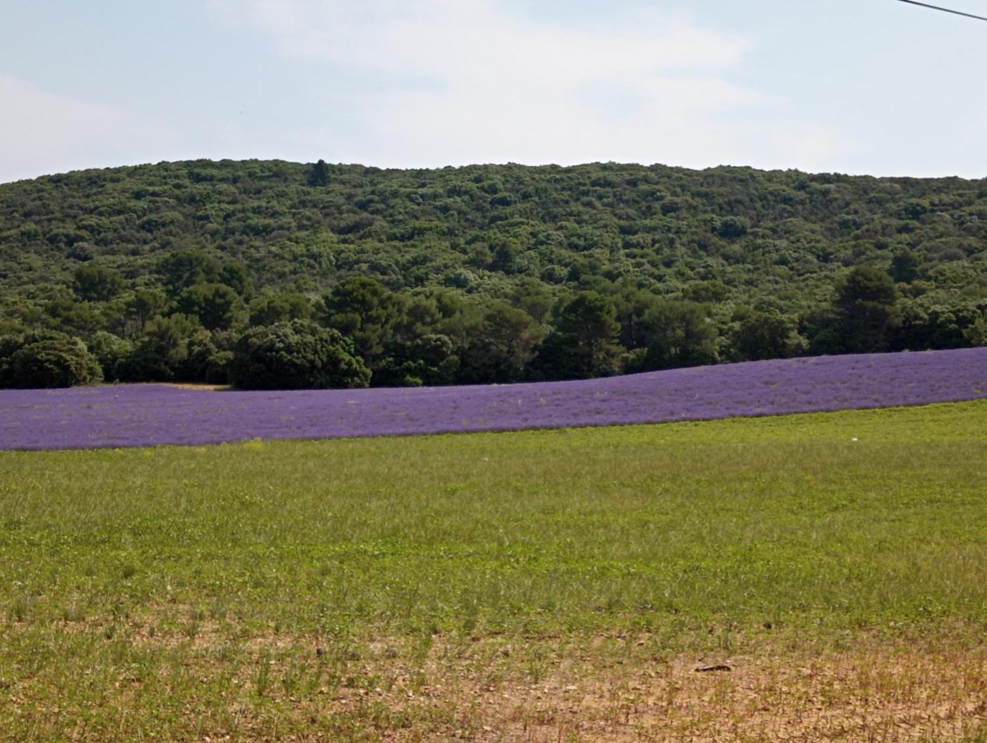 Studio Appart Verdon Allemagne-en-Provence Exteriér fotografie